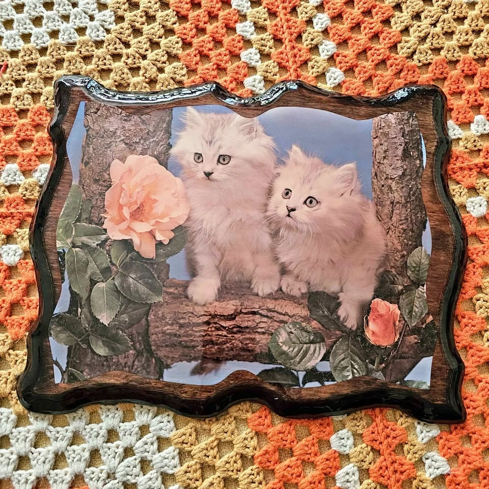 Vintage 70s/80s Kitten Roses Persian Cat Lacquered Wall Plaque