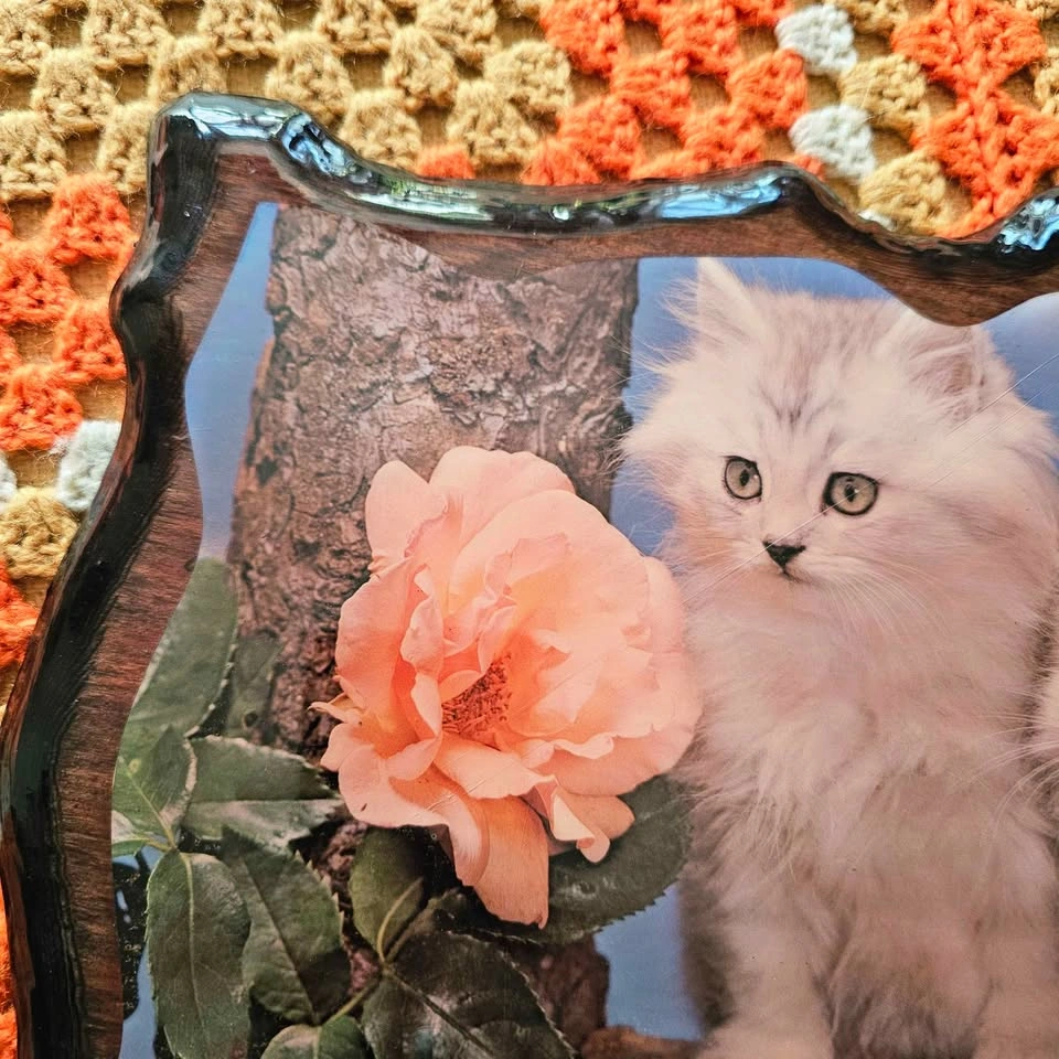 Vintage 70s/80s Kitten Roses Persian Cat Lacquered Wall Plaque - photo 2