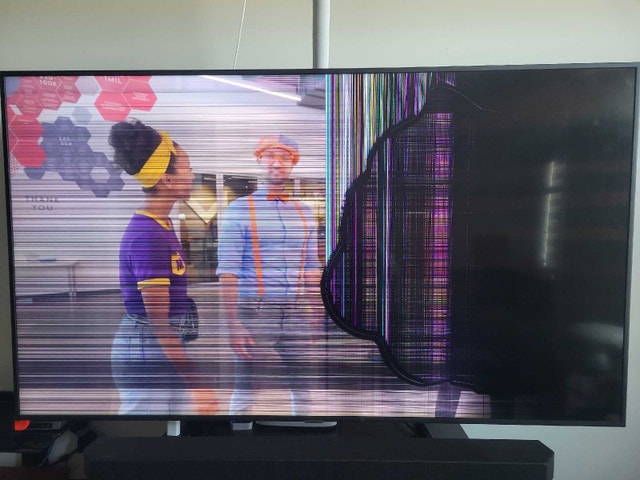 Samsung 65 inch Tv (for parts)