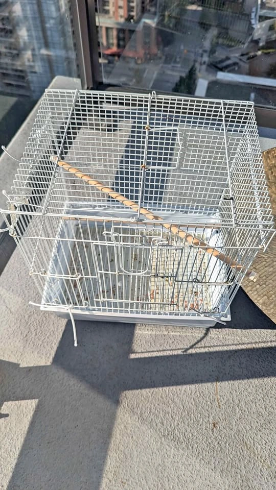 Small White Wire Bird Cage (37 x 28 x 40 cm)
