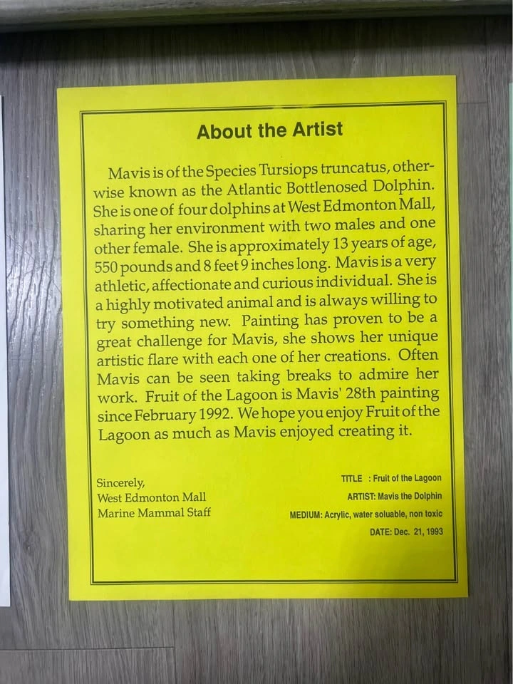 Mavis The Dolphin - Fruit of the Lagoon 1993 WEM - photo 3