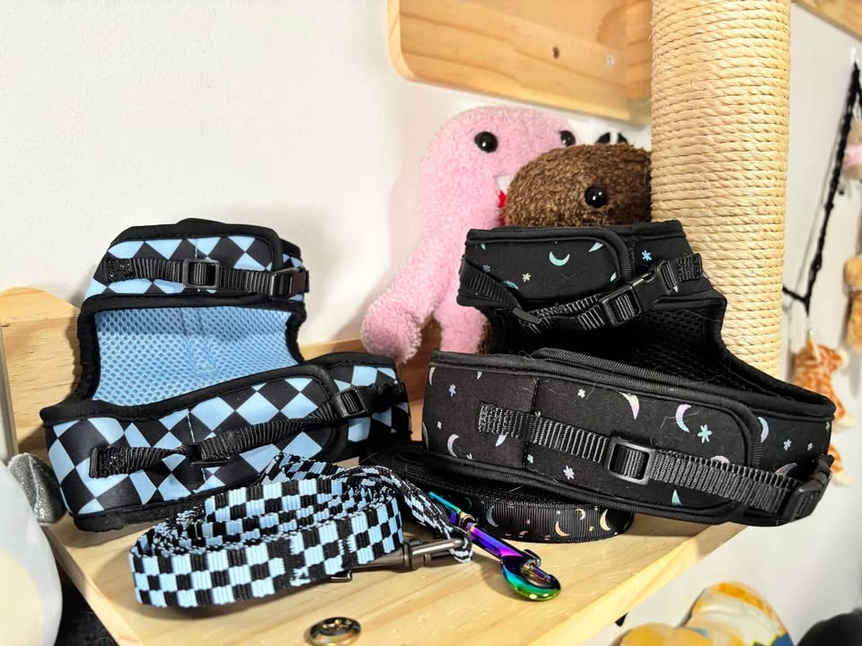 adult cat harness and leash - photo 2