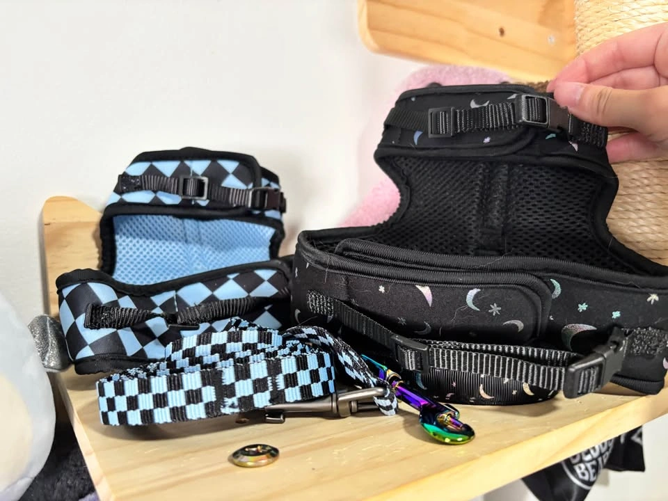 adult cat harness and leash - photo 3