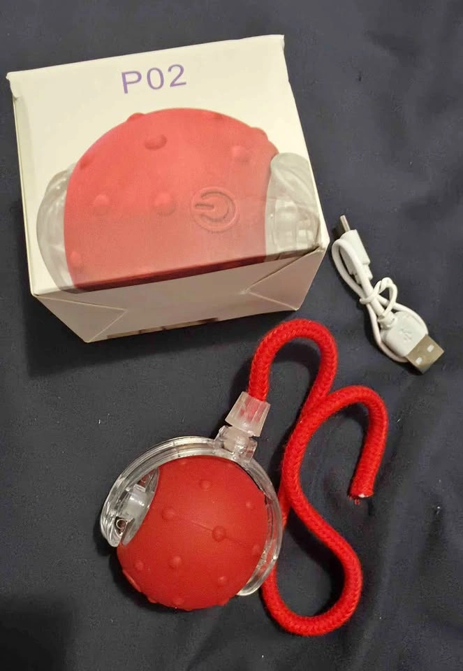 P02 Interactive LED Pet Toy