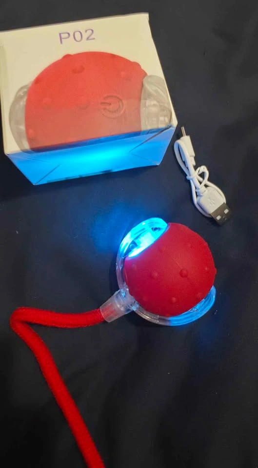 P02 Interactive LED Pet Toy - photo 2