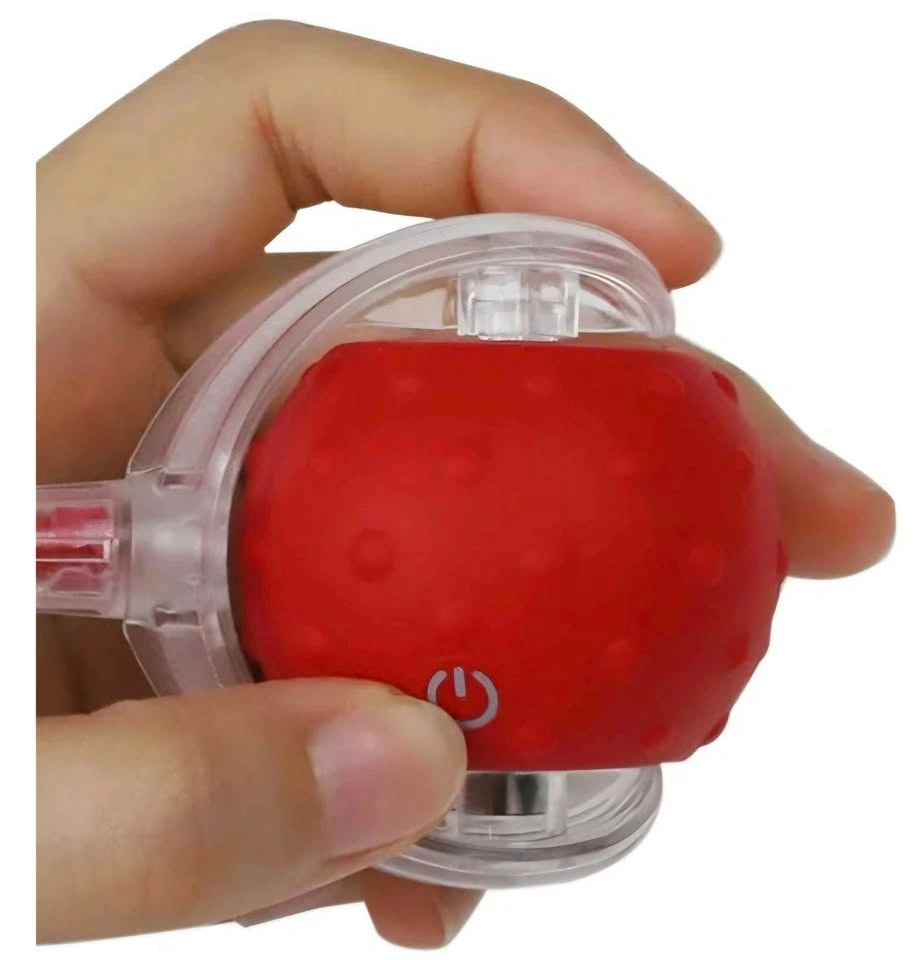 P02 Interactive LED Pet Toy - photo 3