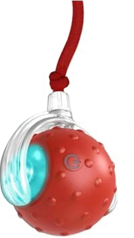 P02 Interactive LED Pet Toy - photo 4