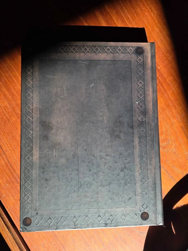 Dragon Age II Collector's Edition Players Guide - photo 2