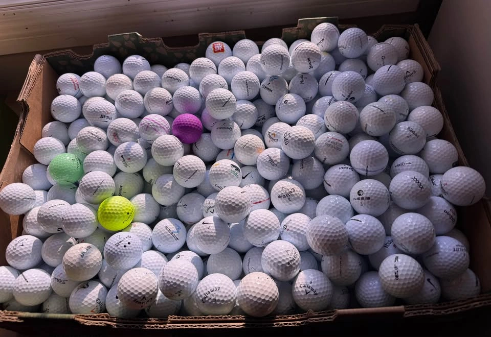 Golf Balls - Good condition balls in Edgemont - photo 2