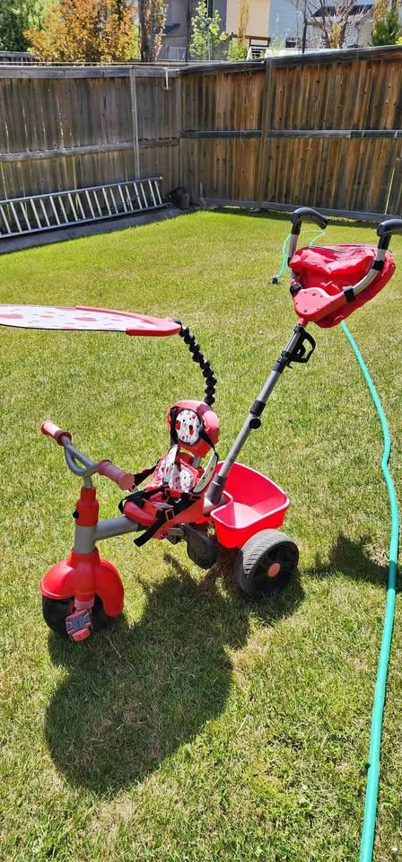 Toddler trike