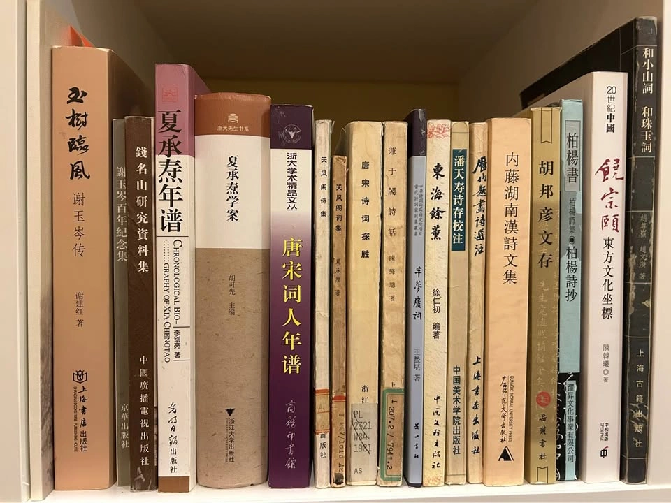 Various Chinese Literature and History Books - photo 4