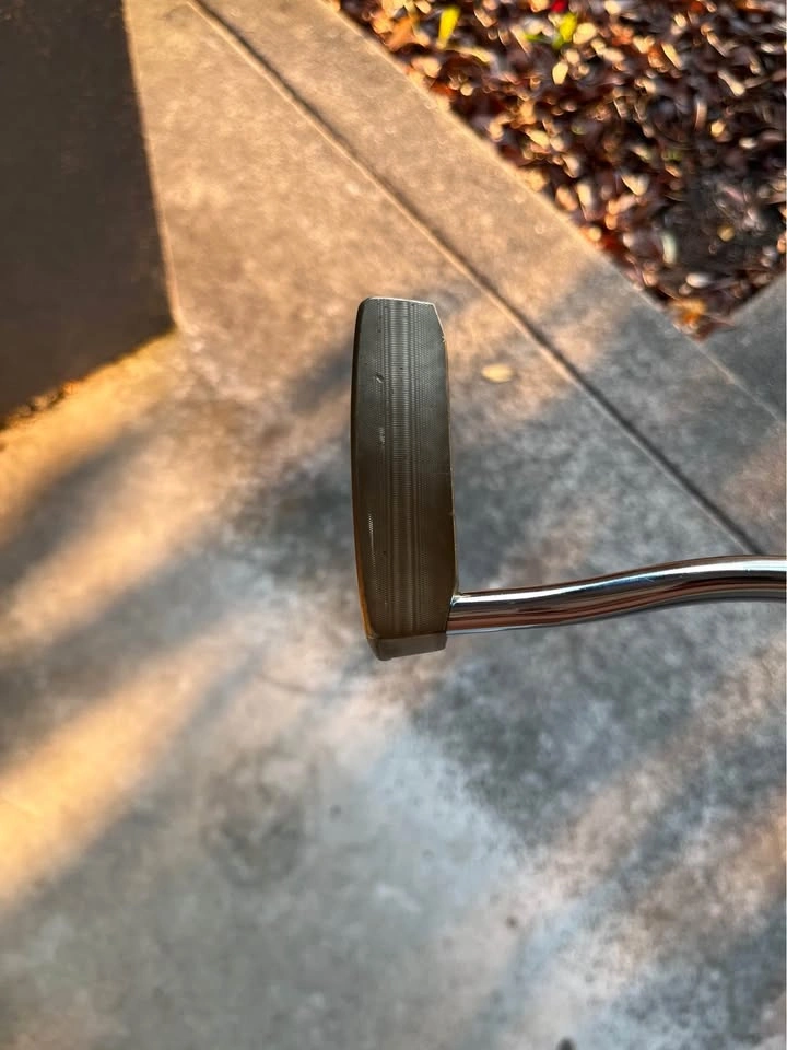 RARE Golfology Octagon ZW3 Gold Putter - photo 3