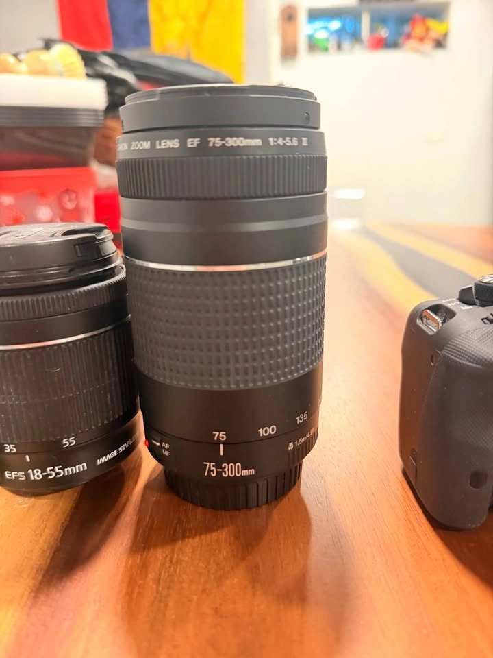 Canon EOS Rebel SL1 - photo 5