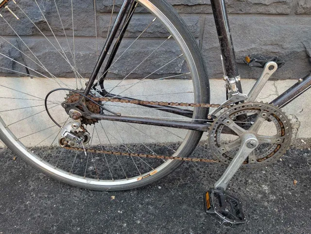 Vintage Nishiki Road Bike image indicator(3)