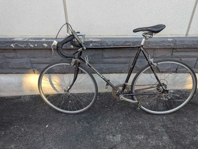 Vintage Nishiki Road Bike image indicator(4)