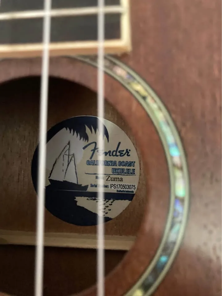 Fender Zuma Ukulele w/ Roadrunner Gig Bag & Strings image indicator(3)