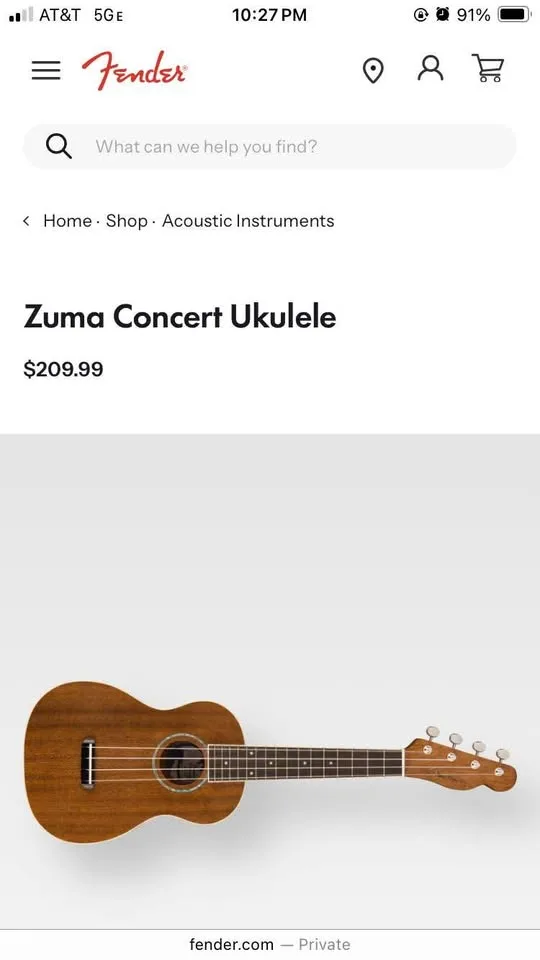 Fender Zuma Ukulele w/ Roadrunner Gig Bag & Strings image indicator(7)