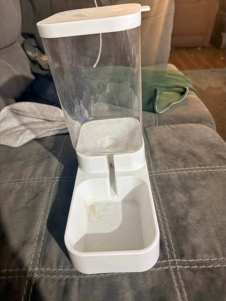 Water dish