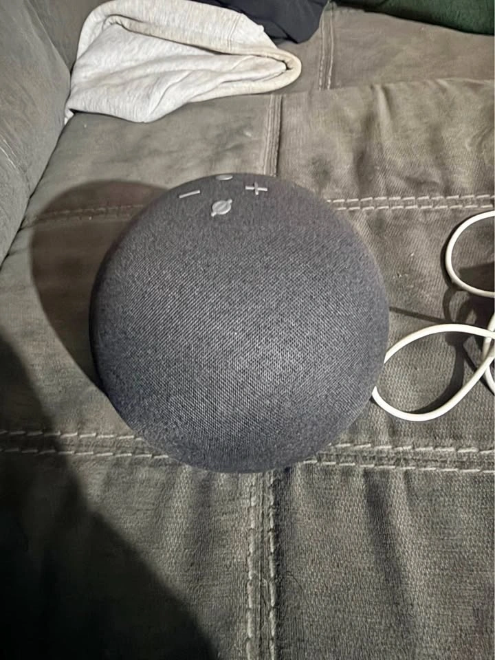 Alexa echo