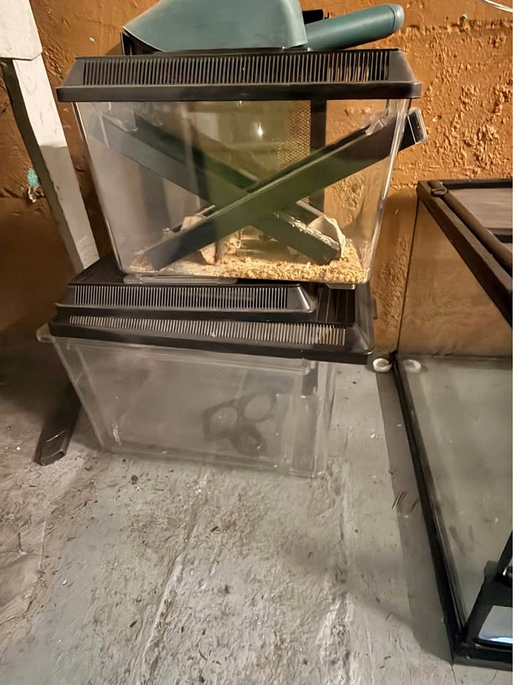 Small holding tanks or cricket tanks