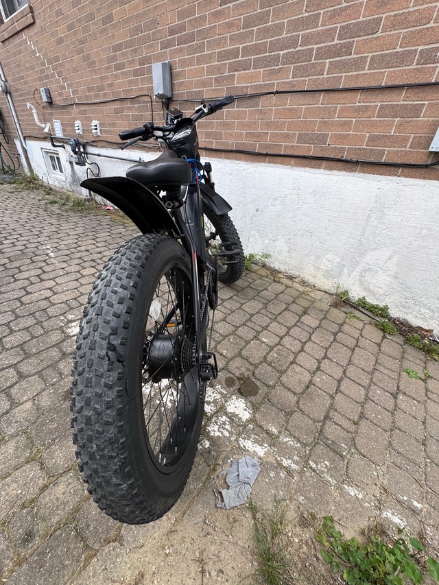 E-Bike for Sale - photo 4