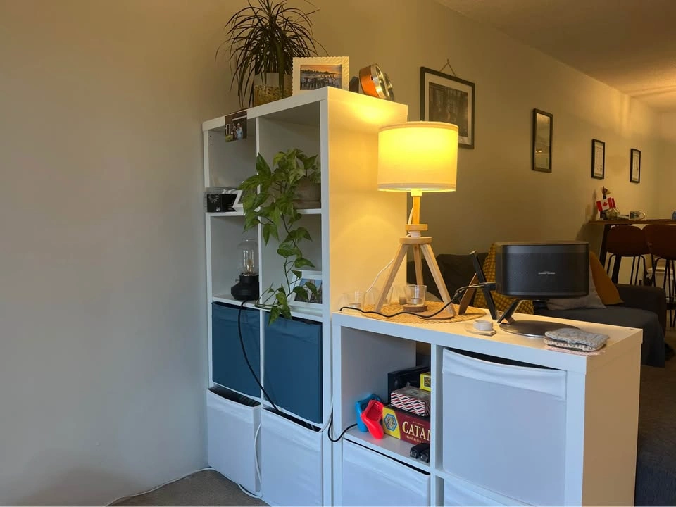 1 Bed 1 Bath - Apartment - photo 3