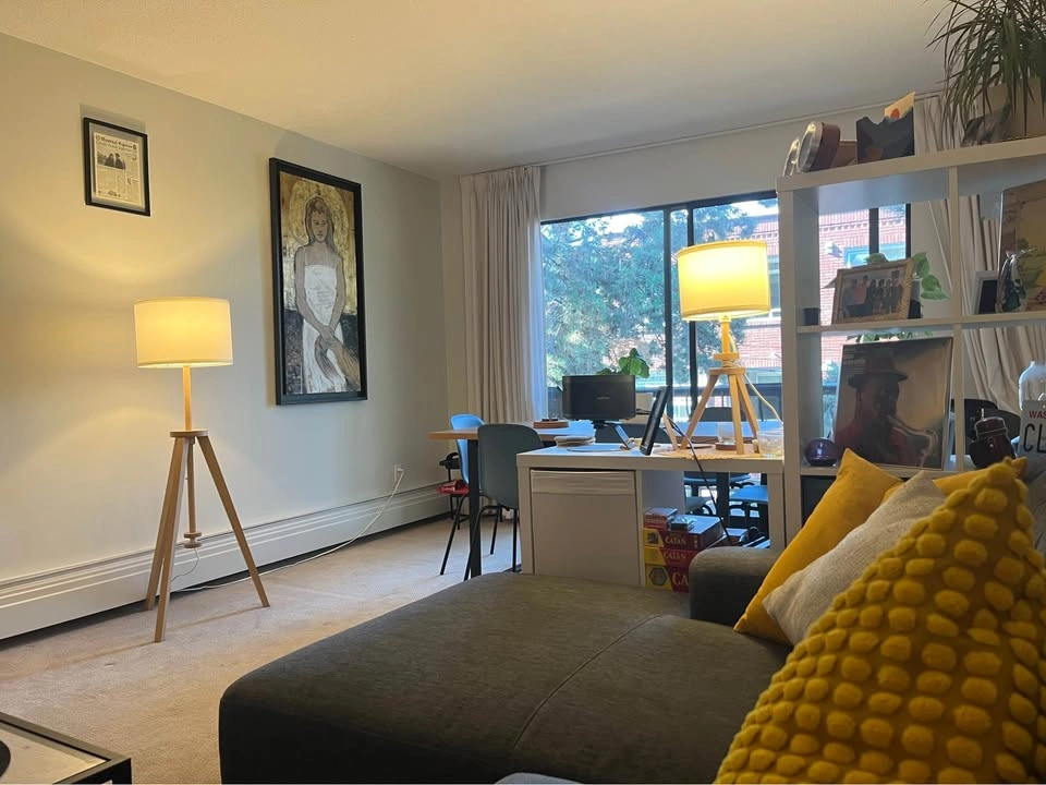 1 Bed 1 Bath - Apartment - photo 4