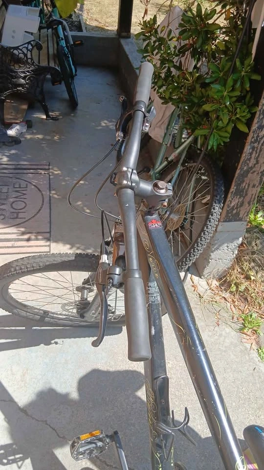 Mountain bike - photo 4