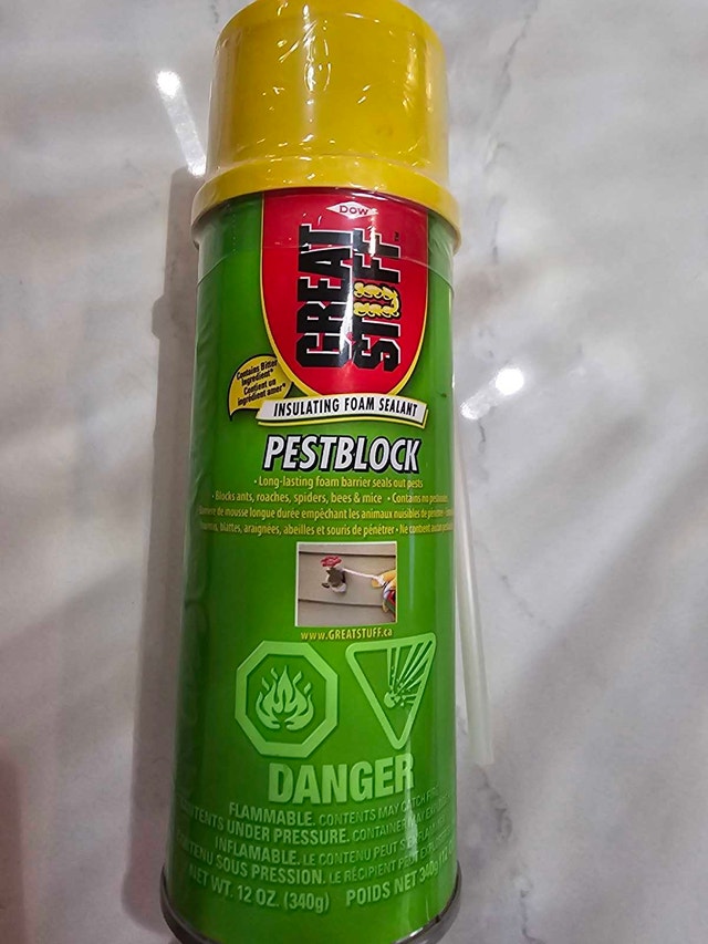 Great Stuff Pestblock Insulating Foam Sealant