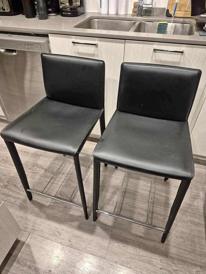 Pair of Genuine Leather Counter/Bar Stools – EQ3