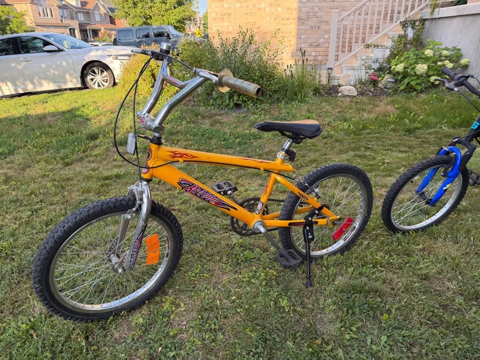 BMX SF–R100 Bike - photo 2