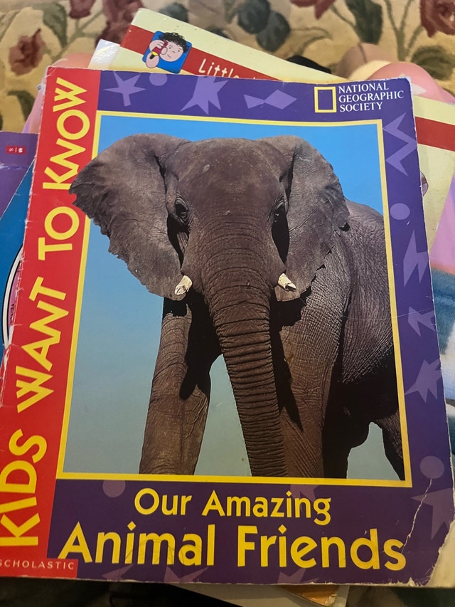 National Geographic Kids: Our Amazing Animal Friends