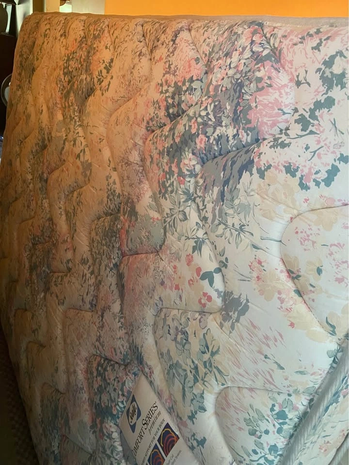 Free Queen Bed - photo 3