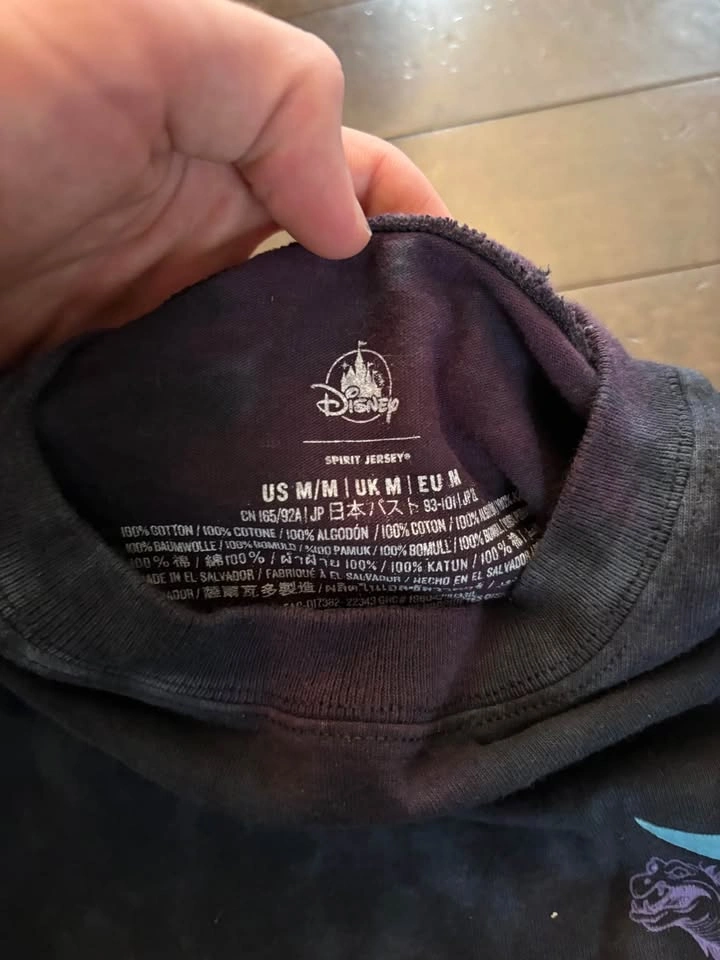 Disneyland resort long sleeve - photo 3