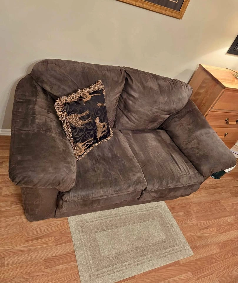 Sofa, Loveseat Couch, Comfy