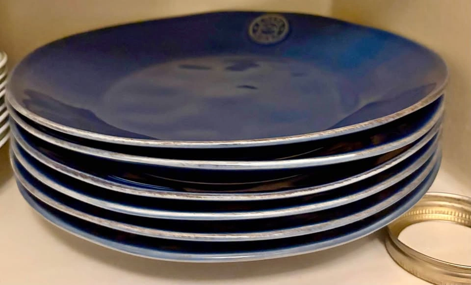 Costa Nova plates