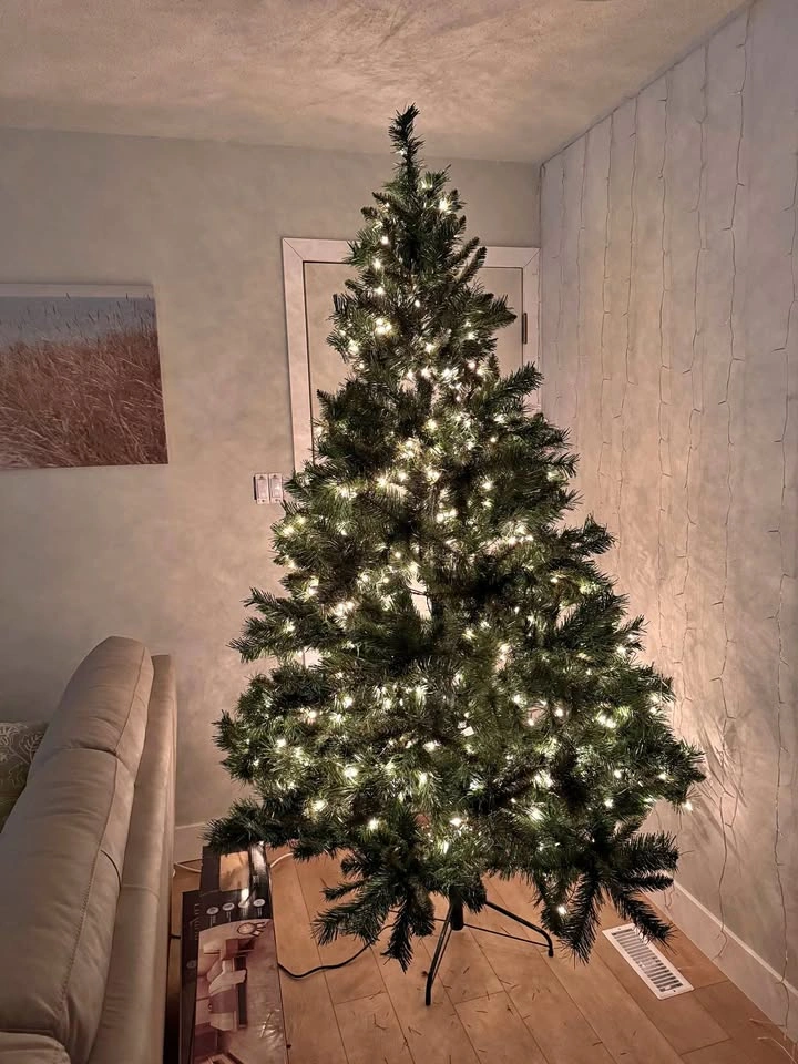 Christmas tree Northenlight 500