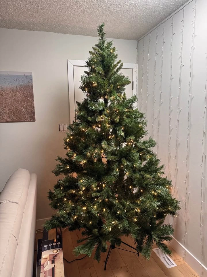 Christmas tree Northenlight 500 - photo 2