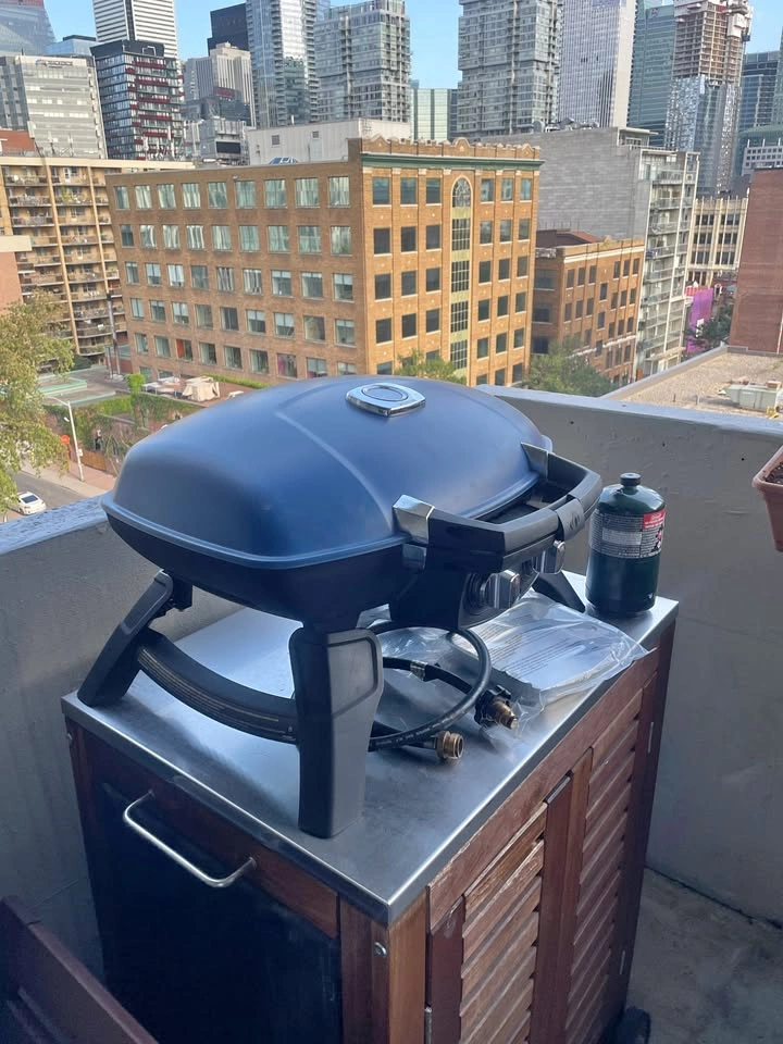 Napoleon TravelQ 285 Portable Grill with Cover
