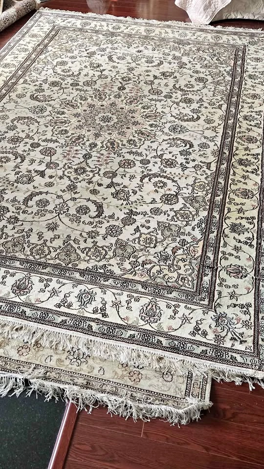 Persian Rug (8.7 x 6 ft)