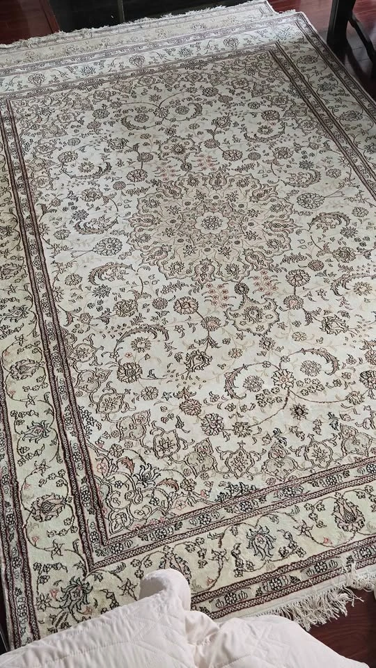 Persian Rug (8.7 x 6 ft) - photo 2