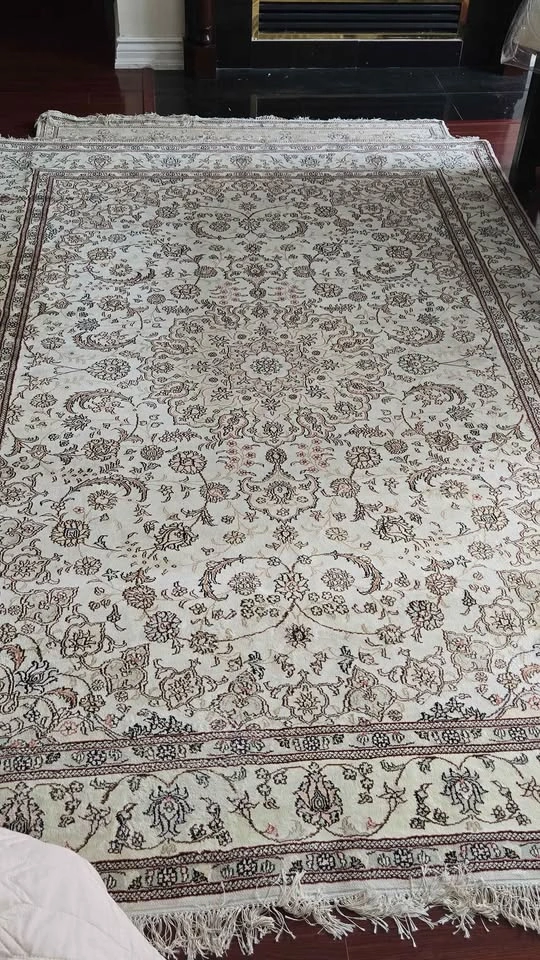 Persian Rug (8.7 x 6 ft) - photo 3