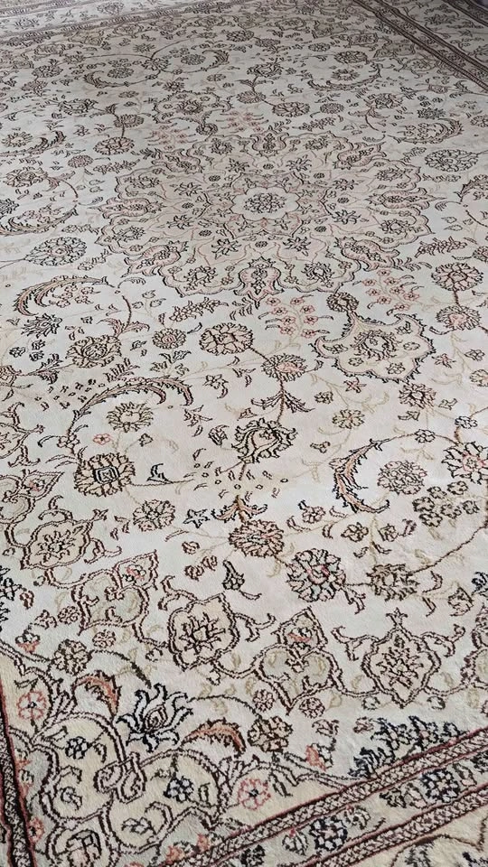 Persian Rug (8.7 x 6 ft) - photo 4