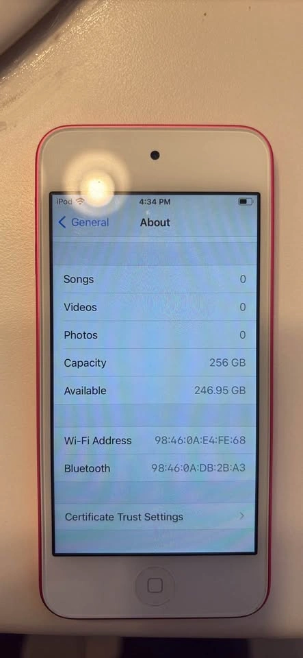 Apple iPod touch (7th generation) 256GB - photo 2