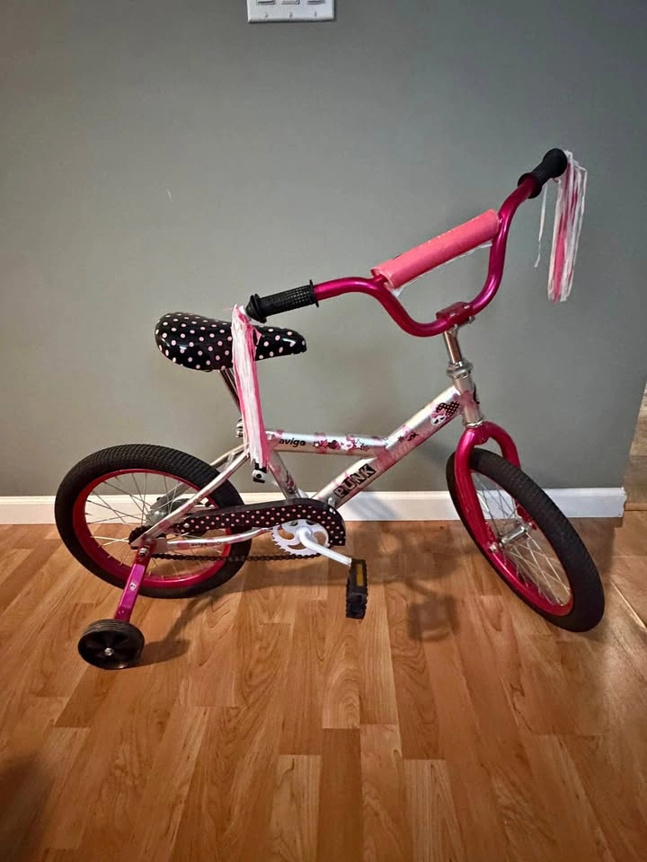 Girls bike w/training wheels