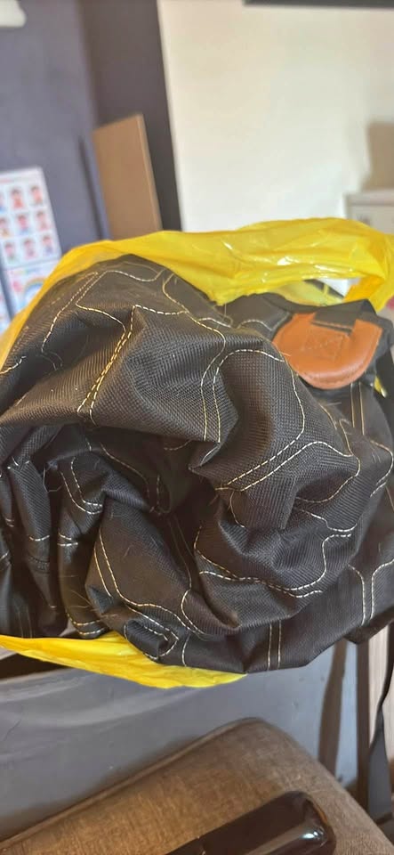 Dog seat cover