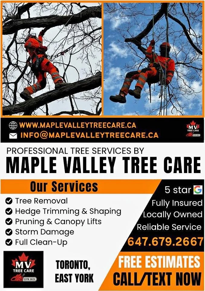 Maple Valley Tree Care Services
