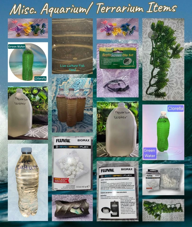 Aquarium Tank, Pond Plants & Other Items - photo 4