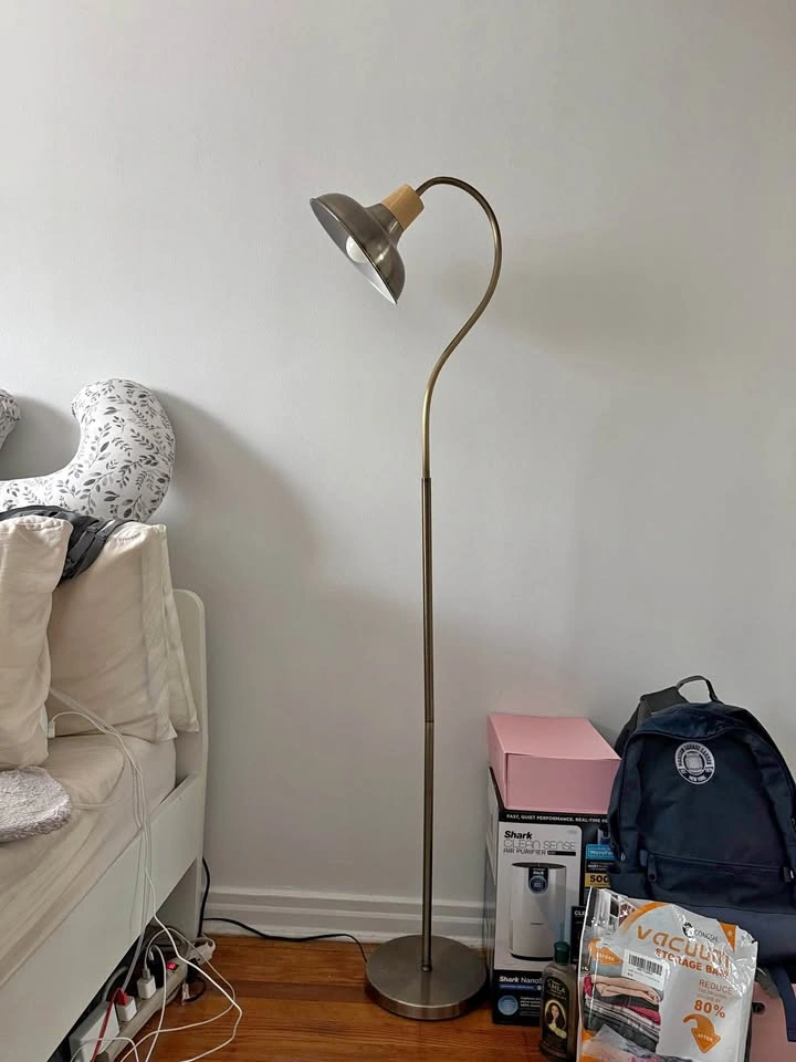 Ivy Bronx Guccione 64.5” Arched Floor Lamp