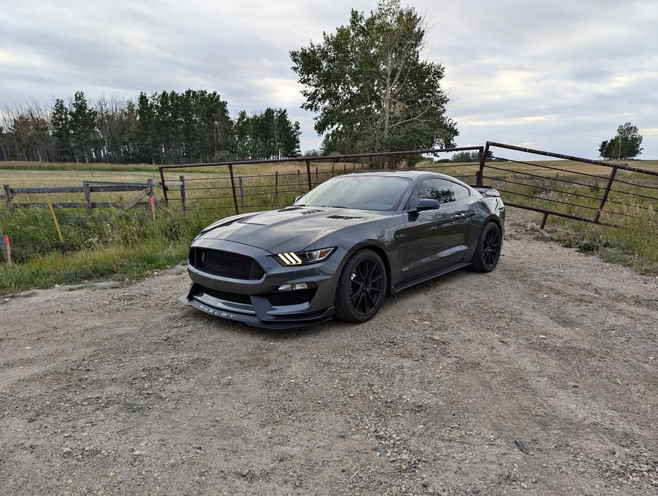 2019 Ford Shelby GT350